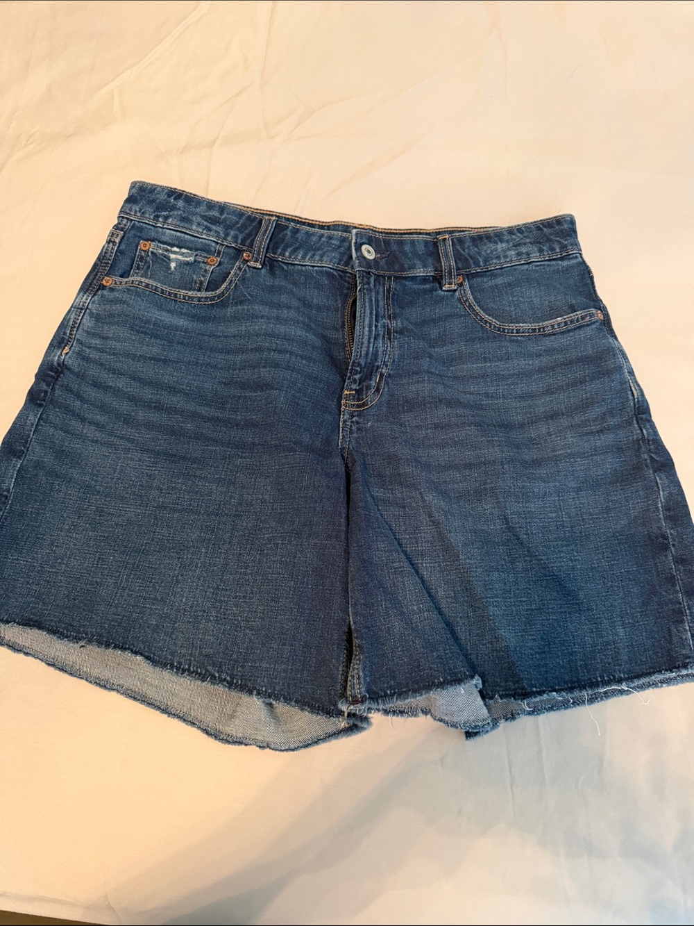 American Eagle Outfitters Blue Denim Cutoff Shorts